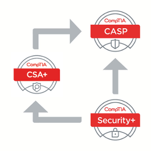 csa_path_figure1_1-1